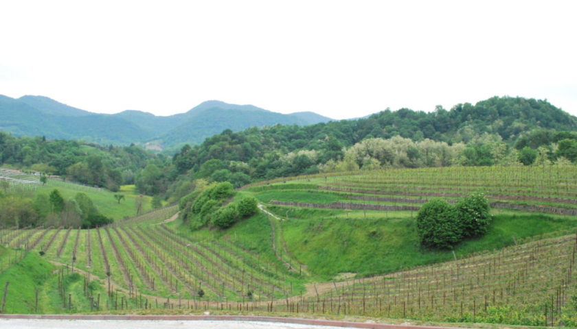 prosecco asolo montello 1024x685