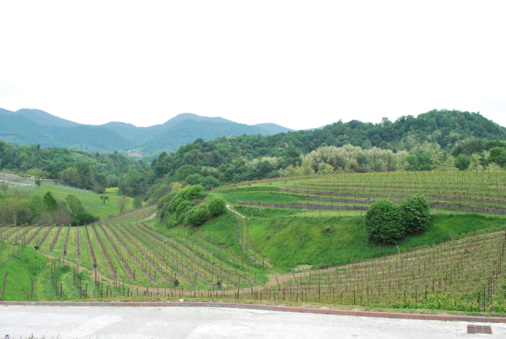prosecco asolo montello 1024x685