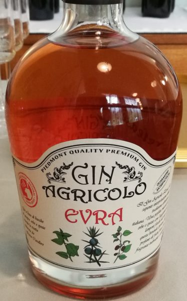 Gin 5