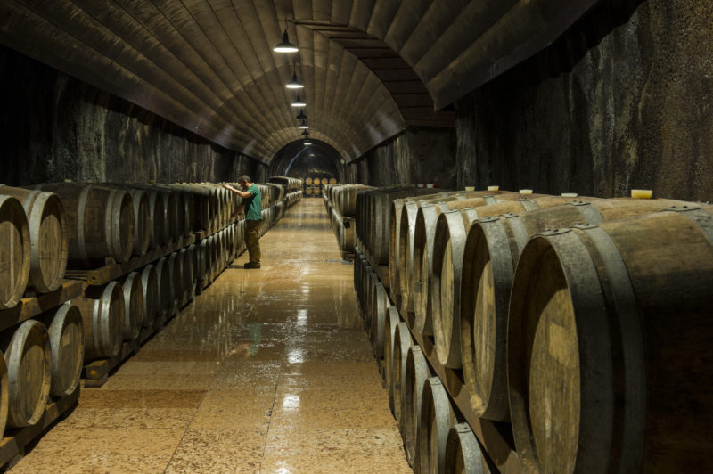 Cantina di Soave 20 di fatturato. Record 70 milioni ai soci 1
