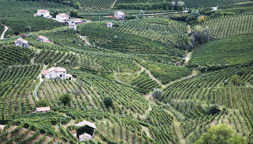 Schenk Italian Wineries investe nel Prosecco Docg nuova cantina e vigneti per Bacio della Luna 2