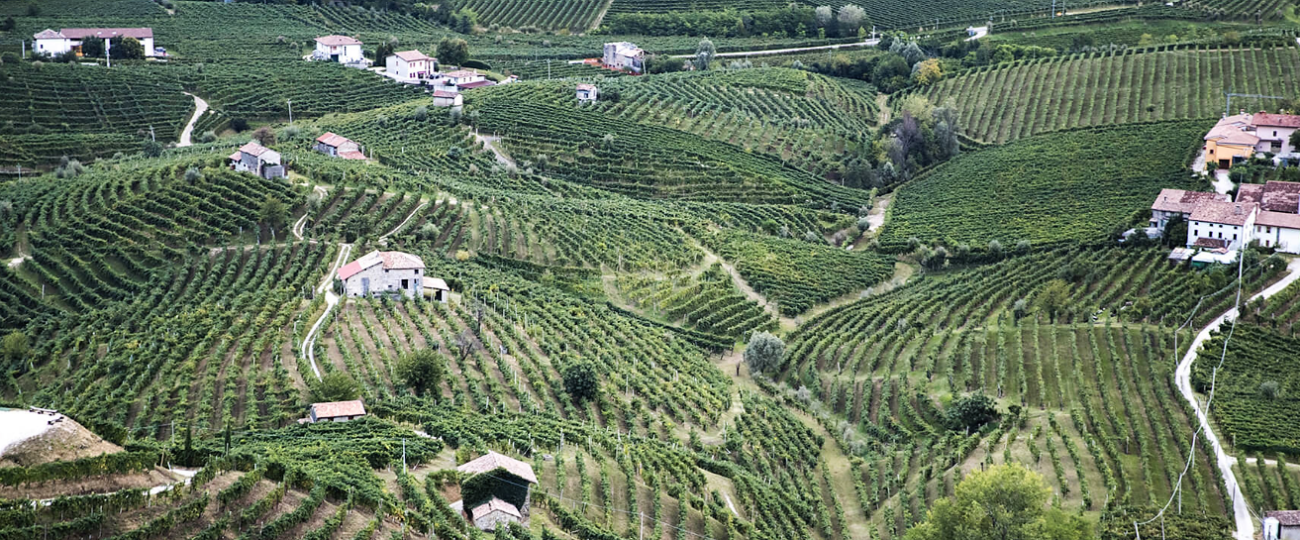 Schenk Italian Wineries investe nel Prosecco Docg nuova cantina e vigneti per Bacio della Luna 2