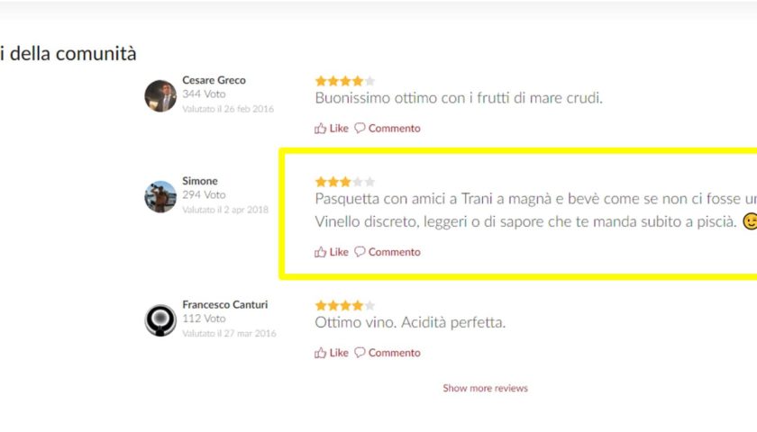 vivino recensioni vino affidabili 1