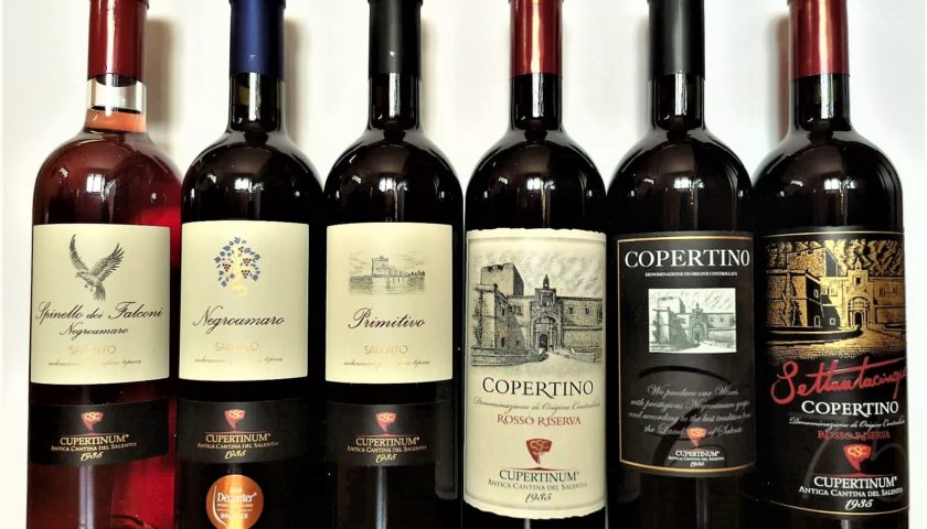 Cupertinum vini antica cantina del salento negroamaro primitivo copertino rosso doc riserva settantacinque 1