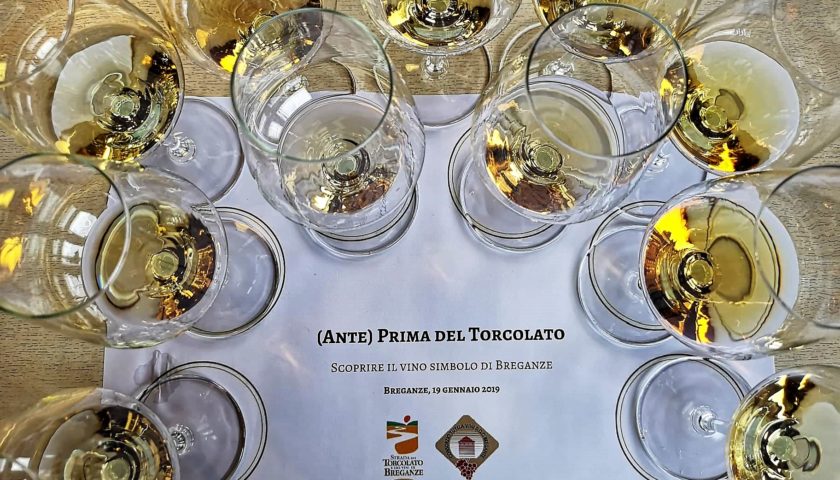 Torcolato Doc Breganze degustazione con punteggi delle annate 2011 2015 1