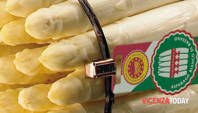 asparagi vicentini