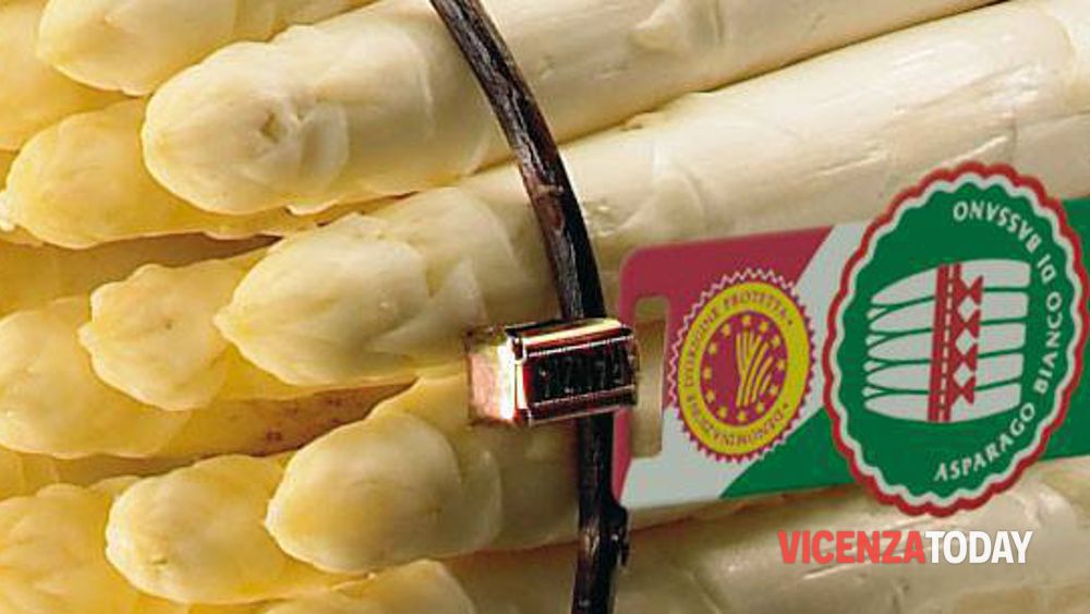 asparagi vicentini