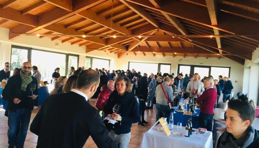 viniveri assisi 2018