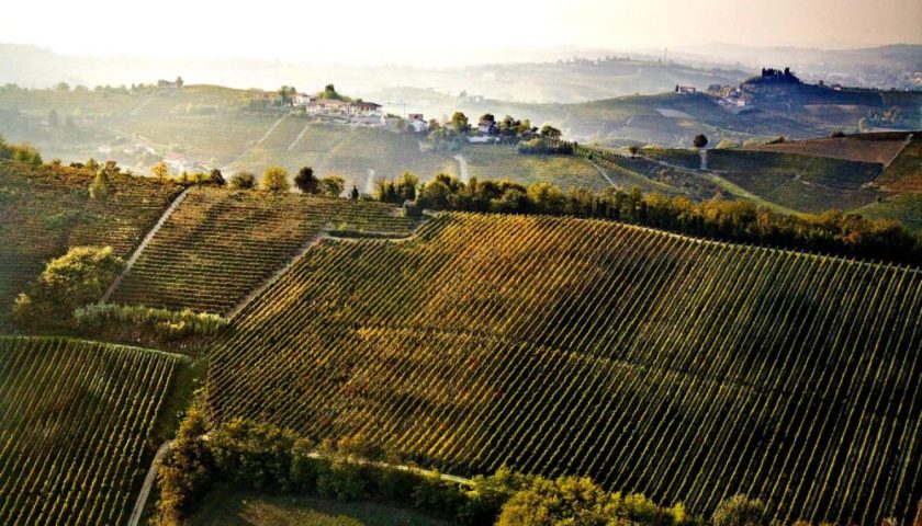 Cru Montemareto Nizza Docg michele chiarlo