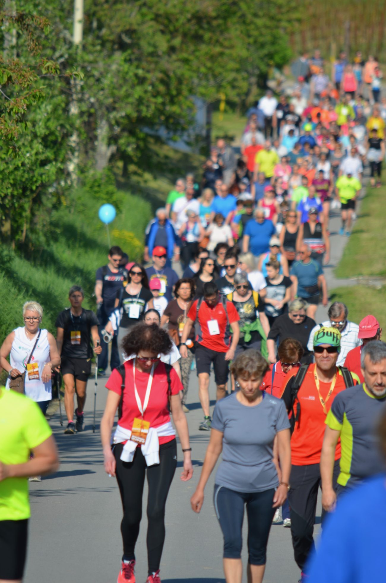 Tutto pronto lEcomaratona del CollioBrda 7