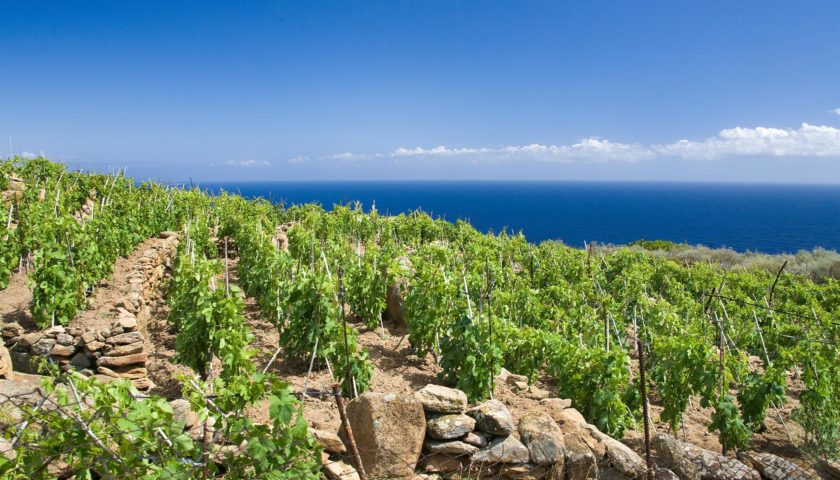 maremma toscana protagonista a preanteprima