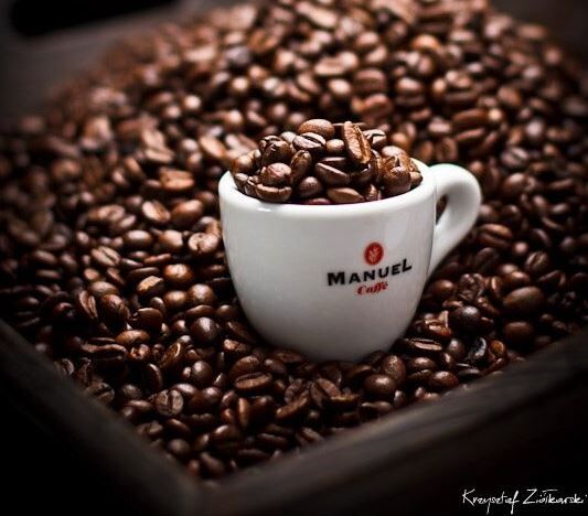 Analisi sensoriale del caffè a Vinitaly la Masterclass di Fisar