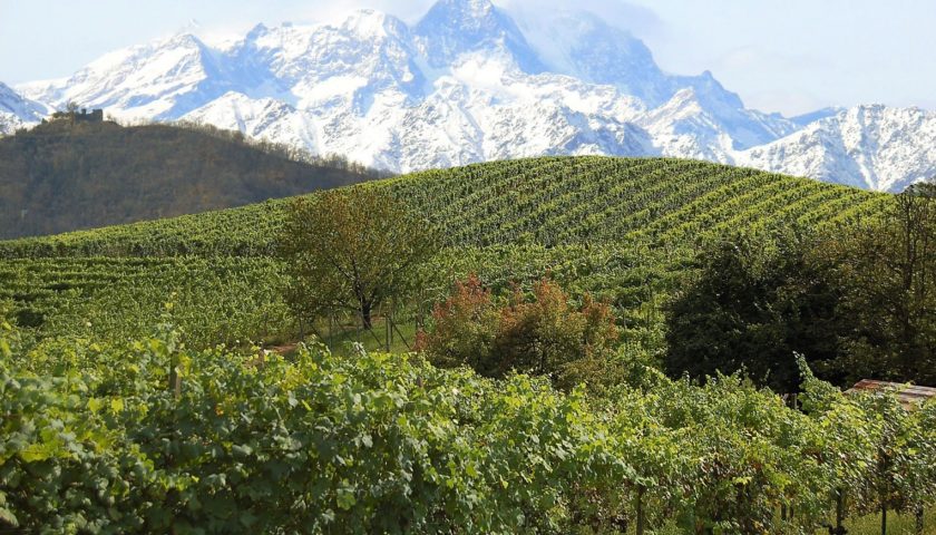 Il Nebbiolo dellAlto Piemonte conquista i mercati. Grande banco dassaggio a Novara 1