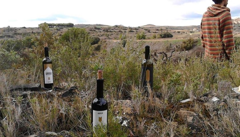 Vino naturale certificato Centinaio divide le associazioni produttori