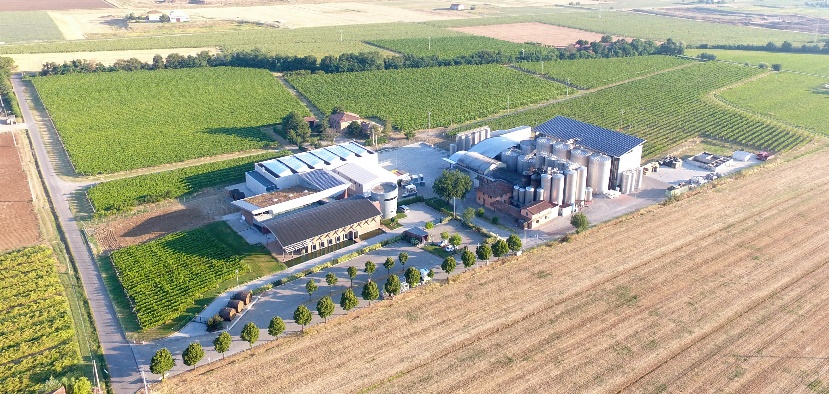 Il vino in lattina è ormai una realtà. Anche in Italia. A confermarlo, oltre alla vera e propria esplosione del fenomeno alla Prowein Trade Fair 2019 di Düsseldorf, sono i numeri di Cantine Sgarzi Luigi. Il vino in lattina è ormai una realtà. Anche in Italia. A confermarlo, oltre alla vera e propria esplosione del fenomeno alla Prowein Trade Fair 2019 di Düsseldorf, sono i numeri di Cantine Sgarzi Luigi.