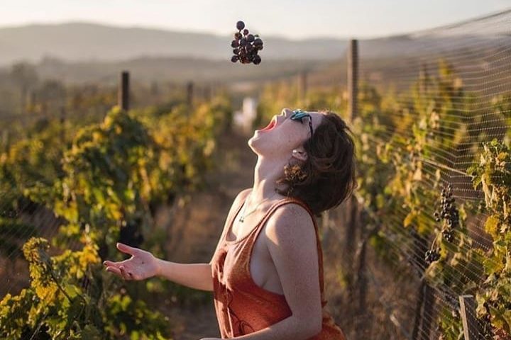 Bing Wines