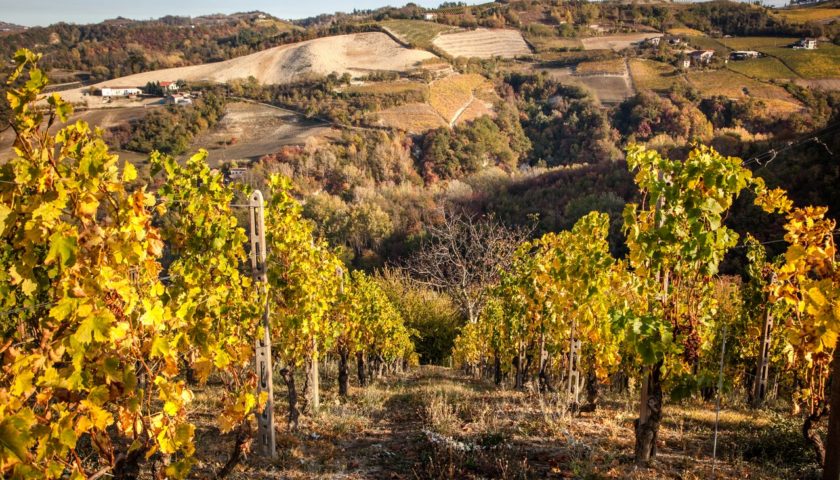 Canelli Docg ok del Consorzio in etichetta dal 2020. Sarà anche Riserva 5