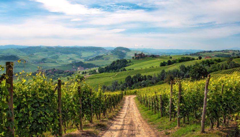 Matteo Ascheri Revolution il Barolo inizia a dare del tu al consumatore 7