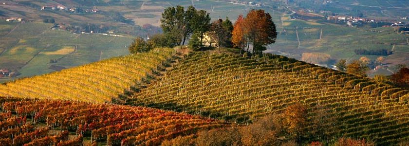 barolo barbaresco anteprima mondiale new york