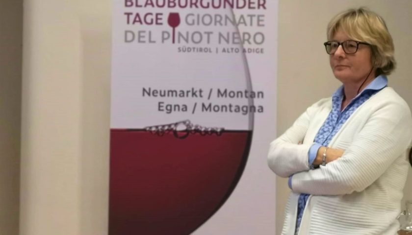 Angiolella Lombardi La grande beffa dei lieviti indigeni dei Consorzi del vino