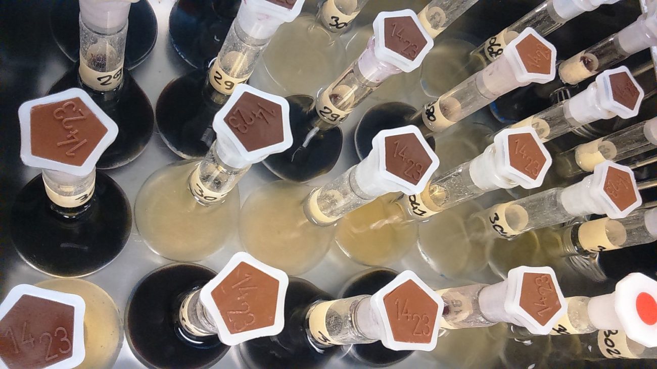 Contraffazione del vino presentata la prima banca dati isotopica dei vini italianiù 1