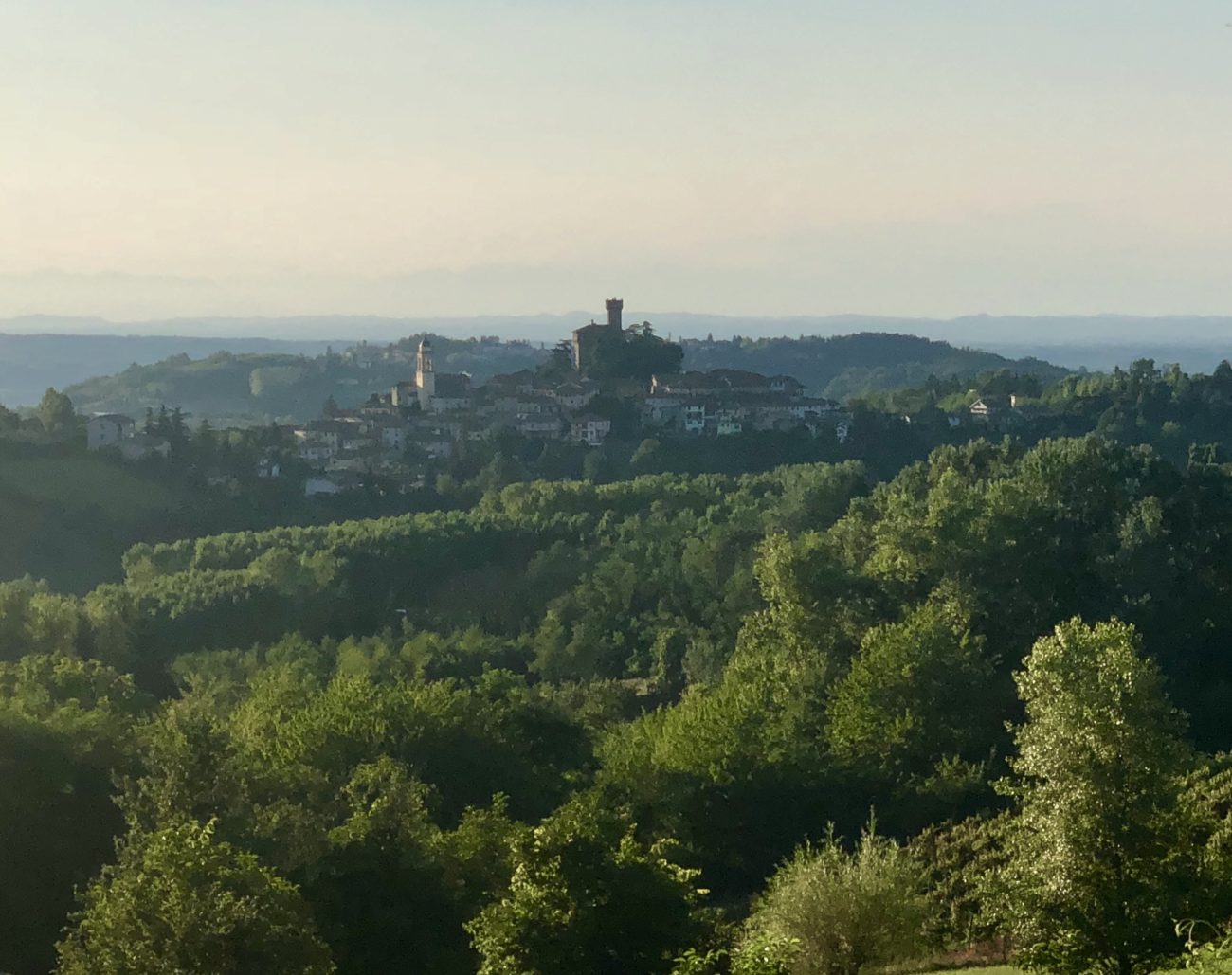 ovada docg vino vitigno dolcetto piemonte 2