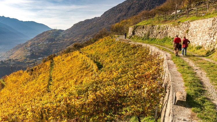 Valtellina: dai produttori di Nebbiolo nasce la Rete dei Giardini Sospesi