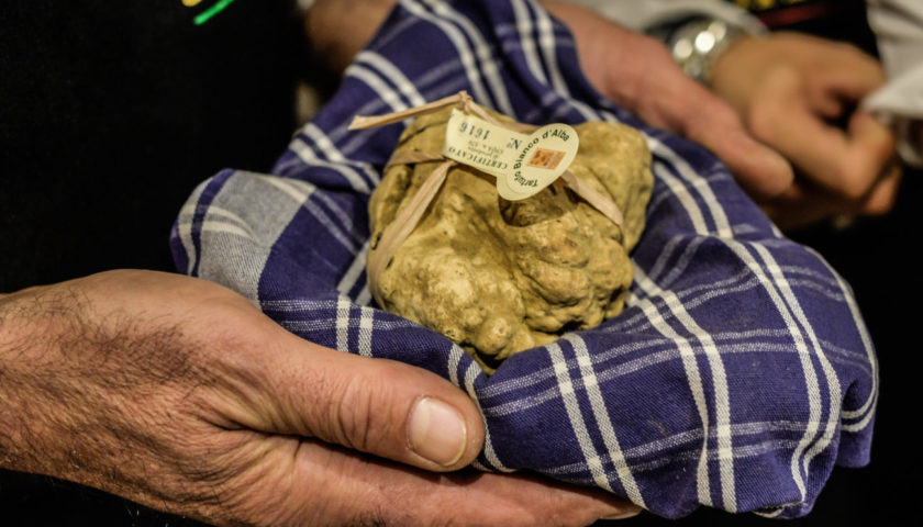 89a Fiera Internazionale del Tartufo Bianco dAlba anche luovo protagonista 1
