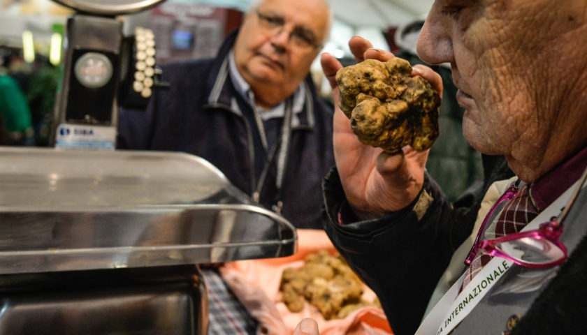 89a Fiera Internazionale del Tartufo Bianco dAlba anche luovo protagonista 6