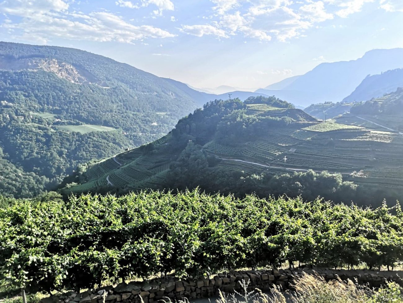 Al via Rassegna e Concorso internazionale Müller Thurgau Vino di Montagna 3