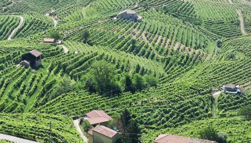 Cinqueanni il Prosecco lento di Ruggeri che sfida il tempo e lindustria 9