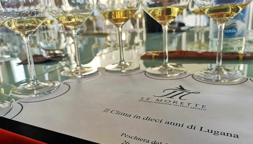 Il futuro della Lugana Meno zucchero ovvero più tipicità per la Turbiana 6
