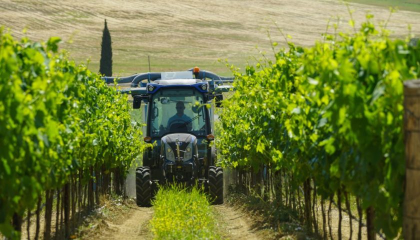 enovitis in campo 2019 3