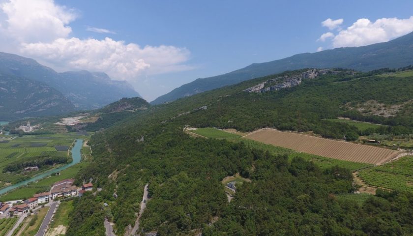 primo vigneto collettivo di Reboro