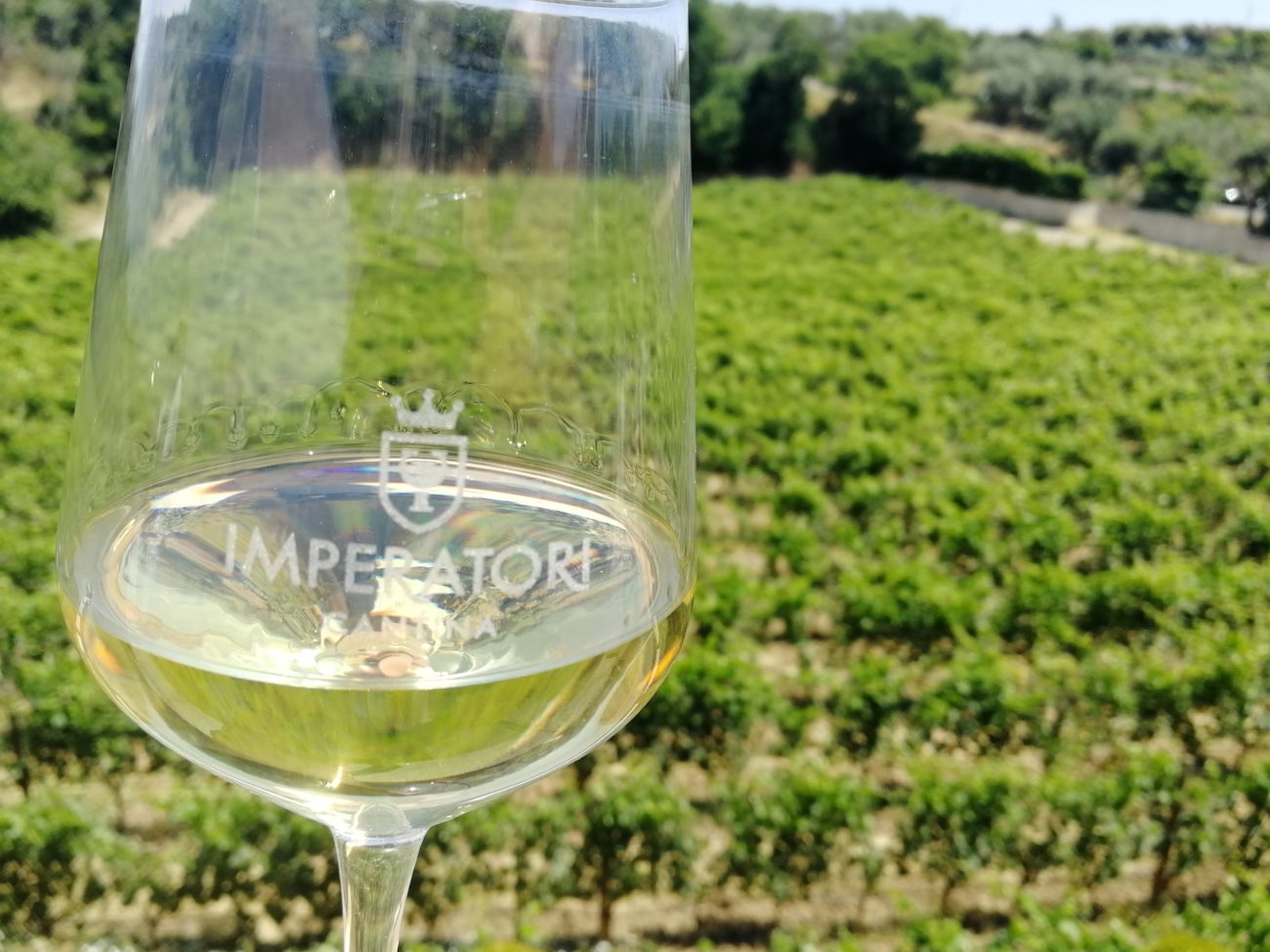 In vigna a Frascati. Cocciatura del Viognier e delizie dello chef Max Mariola 3