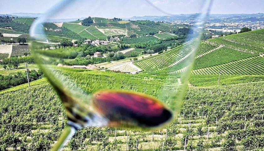 La nuova moda è declassare. Così muoiono le Denominazioni del vino italiano 1