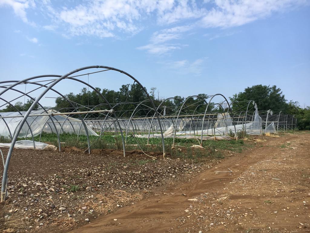 È lestate delle tempeste di ghiaccio acqua e vento già 462 da fine giugno 1