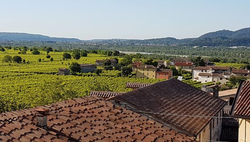 A Valdobbiadene lasilo sanvito si finanzia con il vigneto di Prosecco e Pinot Nero 2