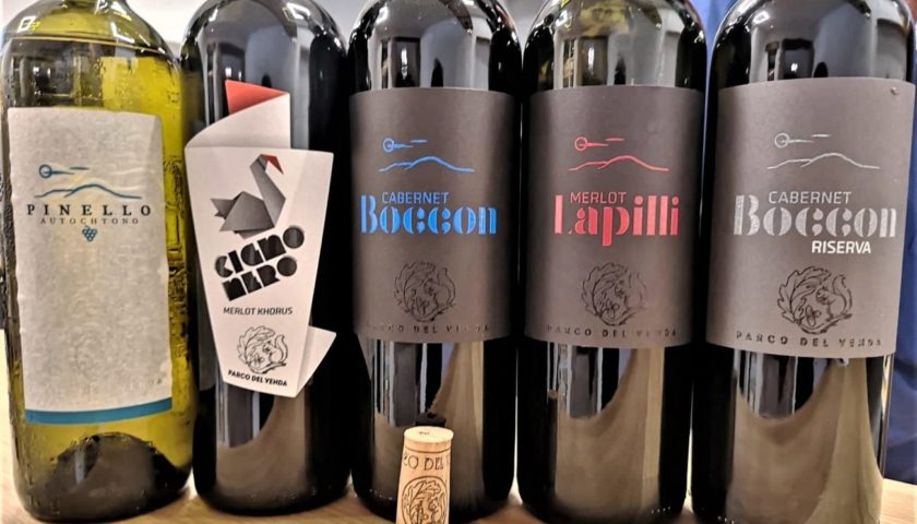 Parco del Venda cè un faro tra i vini dei Colli Euganei 1