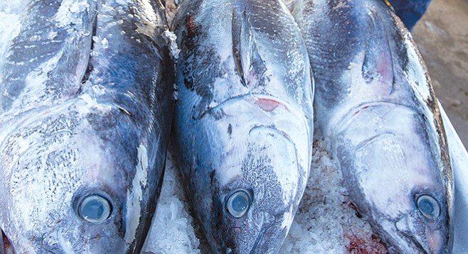 Pesce congelato venduto per fresco senza tracciabilità sequestri in tre regioni