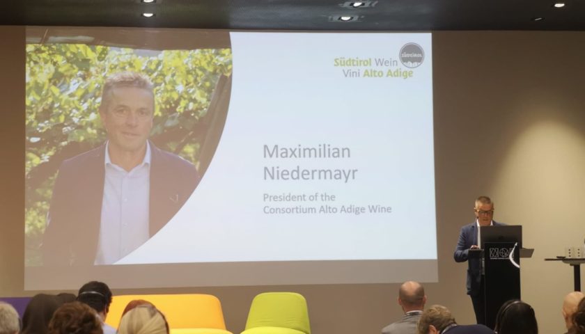 alto adige wine summit 2019 meglio zonazione dei piwi 4