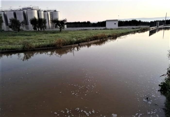 Puglia svuotati i serbatoi di due cantine scatta la gara di solidarietà a San Severo