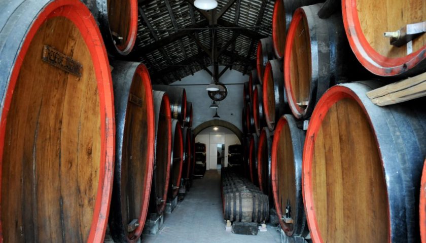 marsala marco de bartoli intervista gipi giuseppina