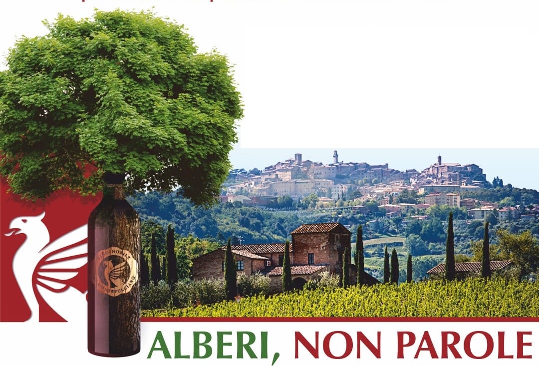 Alberi non parole Montepulciano vino nobile ospedale nottola