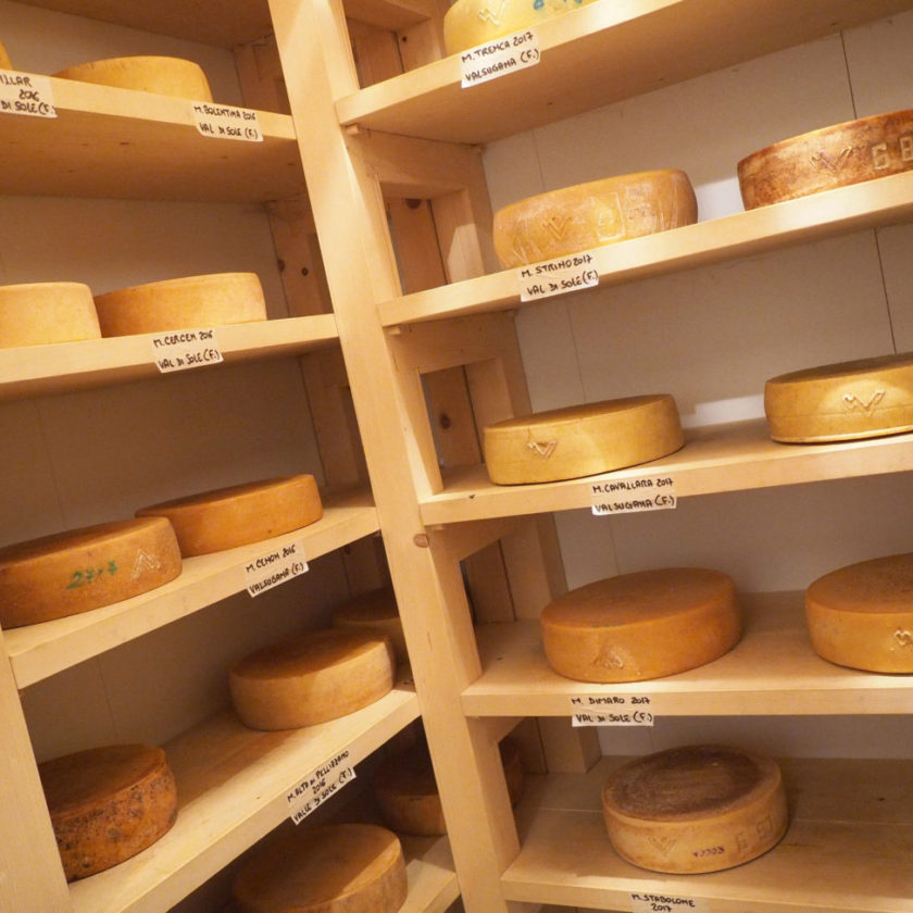 Malghe in Fermento e siamovignaioli i formaggi incontrano i vignaioli del Trentino 2
