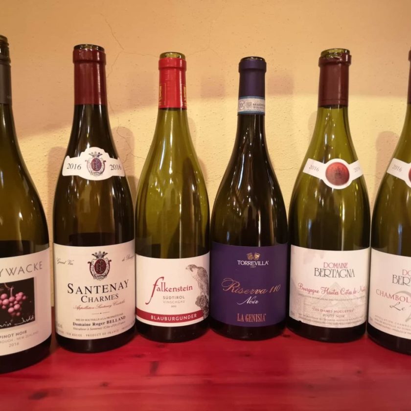 Oltrepò Torrevilla alza la cresta Pinot Nero challenge Genisia a confronto coi grandi del mondo