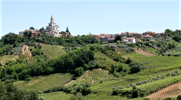 Tullum Docg 5 nuove anime dellAbruzzo firmate Feudo Antico Cantina Tollo