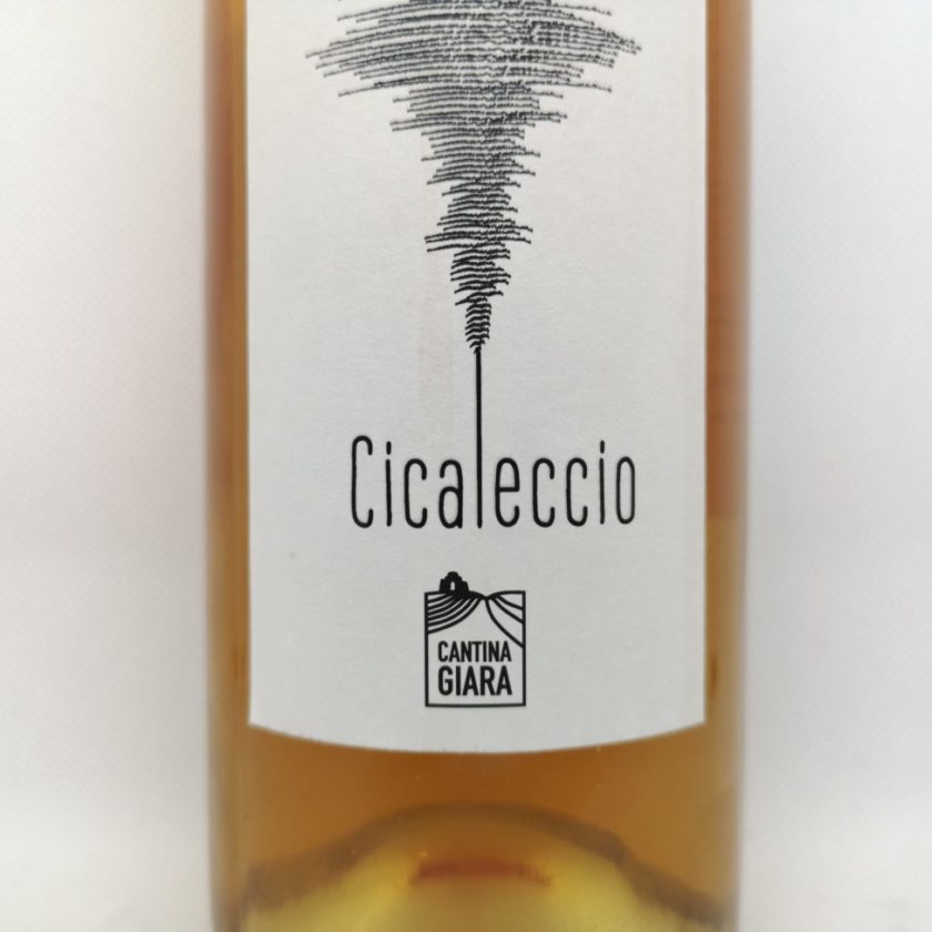 cicaleccio fiano puglia igp cantina giara adelfia bari 1