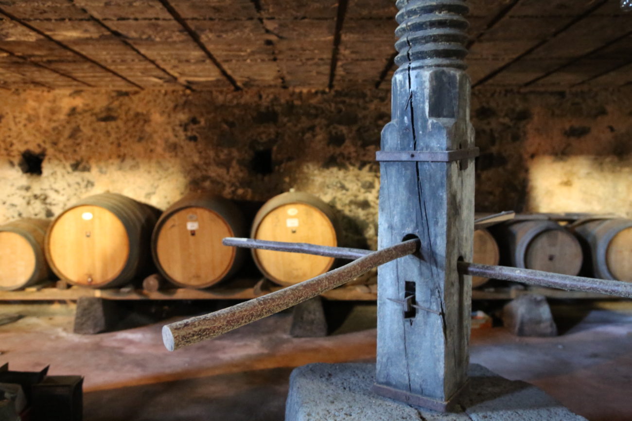 Giacenze vino italiano: 35,8 milioni di ettolitri, calo dell'1,2% in una settimana