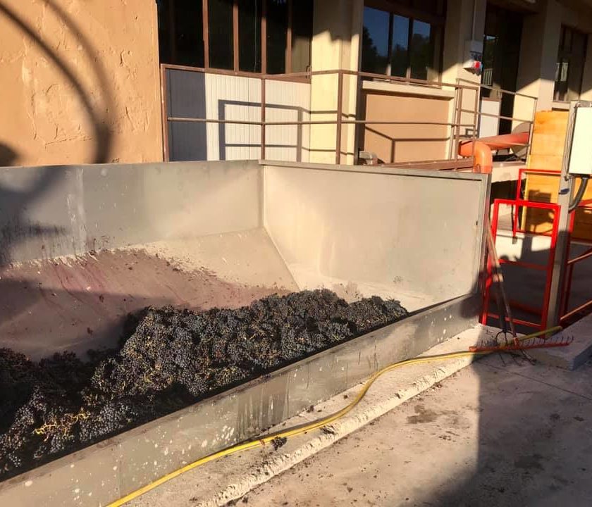 Oltrepò Operazione Dioniso ancora vino contraffatto per quantità qualità e origine 1